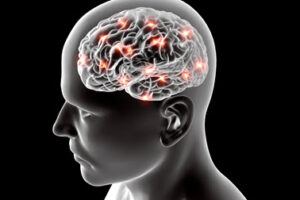 brain health brain health